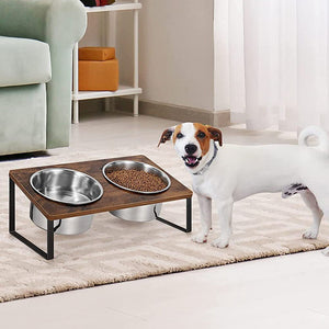 Transform Mealtime for Your Furry Friend