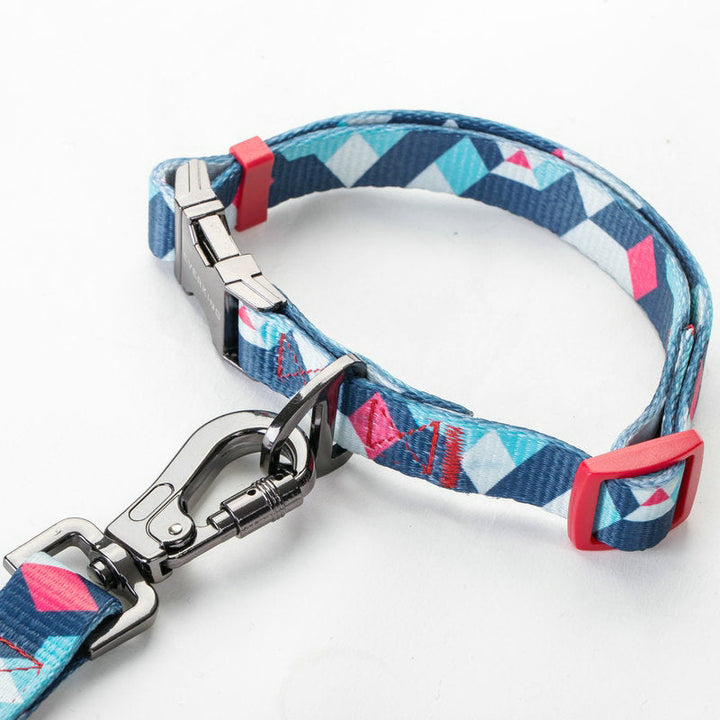 Unleash the Joy of Walking Your Dog with Our Premium Dog Leash