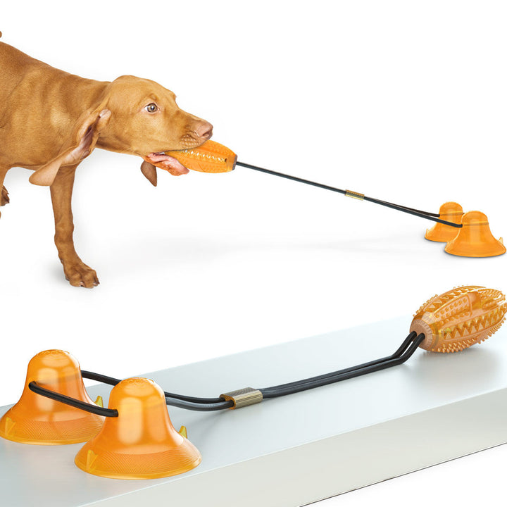 Enhance Your Dog's Playtime with the Multifunction Rope Balls Sucker Toy