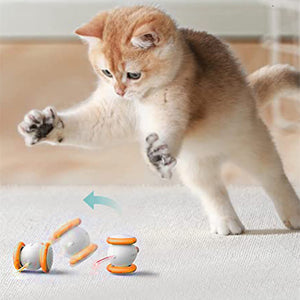 The Purrfect Playtime: Electric Intelligent Teasing Cat Charging Toys