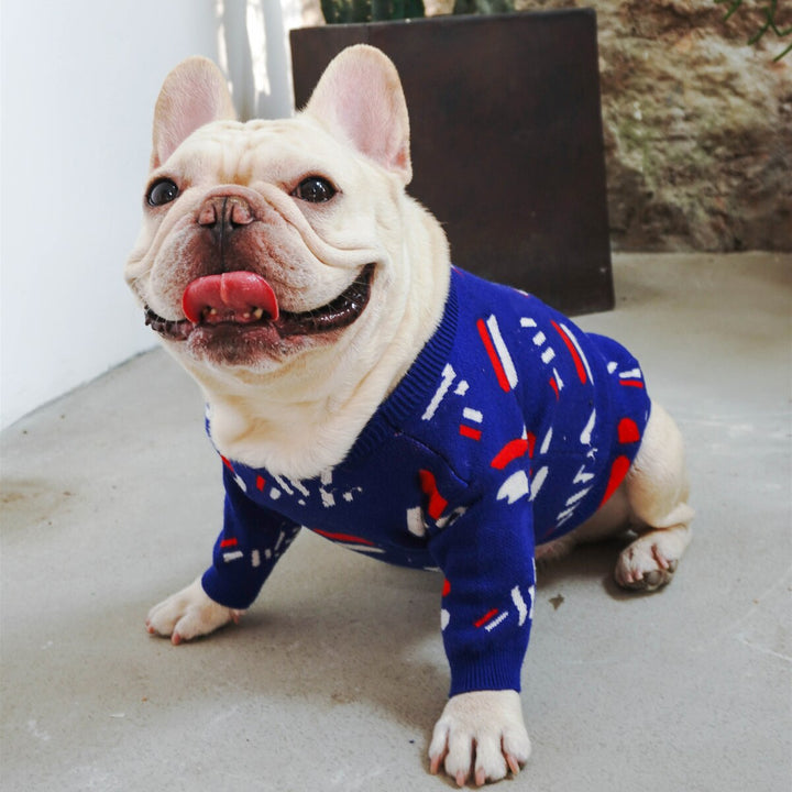 Why Your Pug Deserves the Best: The Pug Pet Sweater