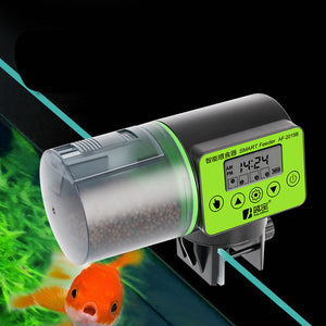 Discover the Large Capacity Automatic Fish Feeder