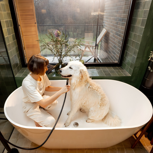 Gentle Bathing Routine For Pets