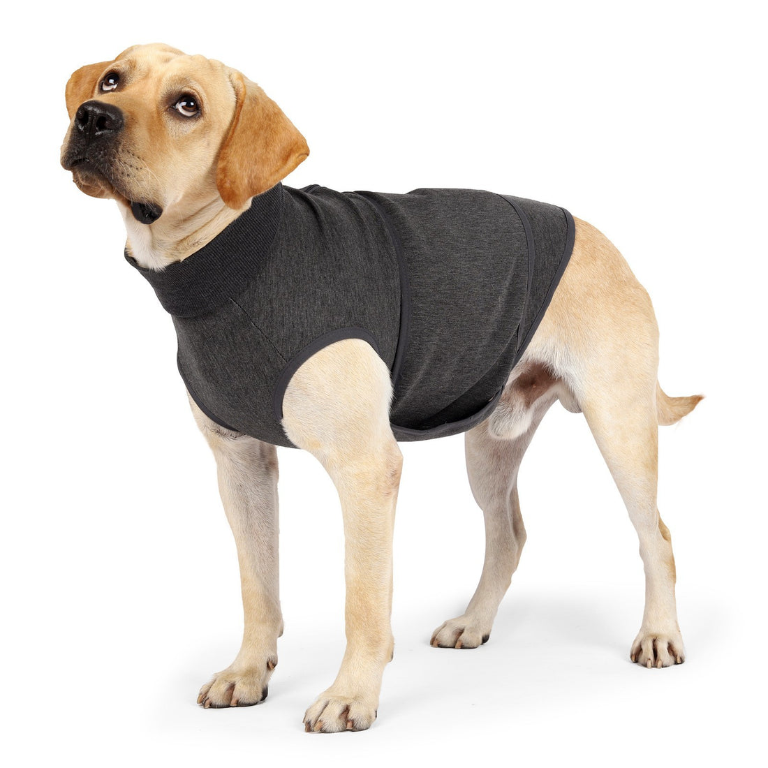 Pet Polyester Emotional Comfort Cotton Double Jacket