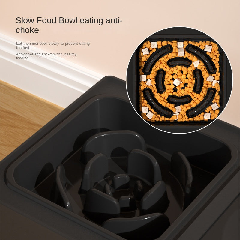 Pets Feeding Dish Bowl Big Dog Elevated Food Water Feeders