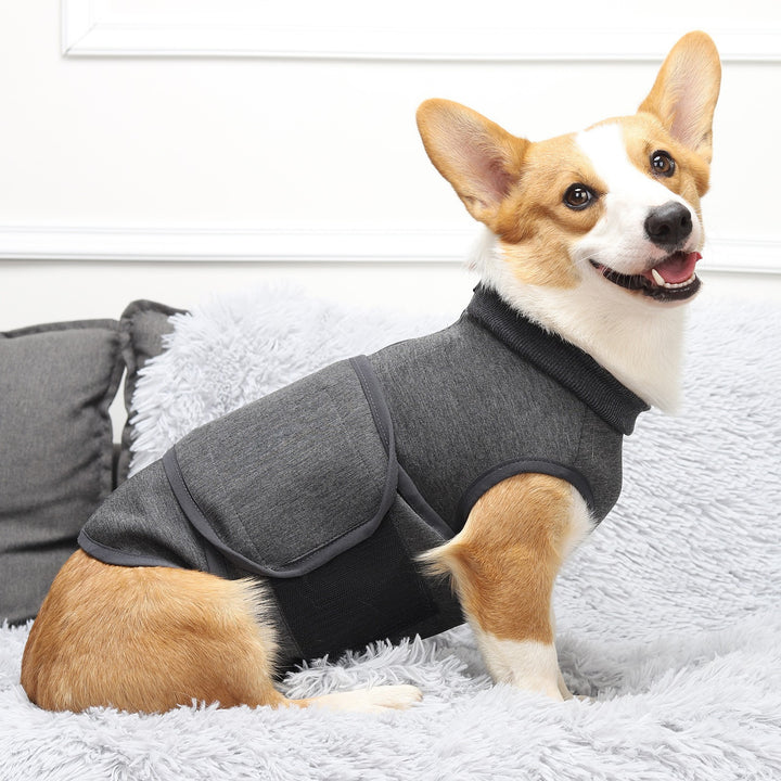 Pet Polyester Emotional Comfort Cotton Double Jacket