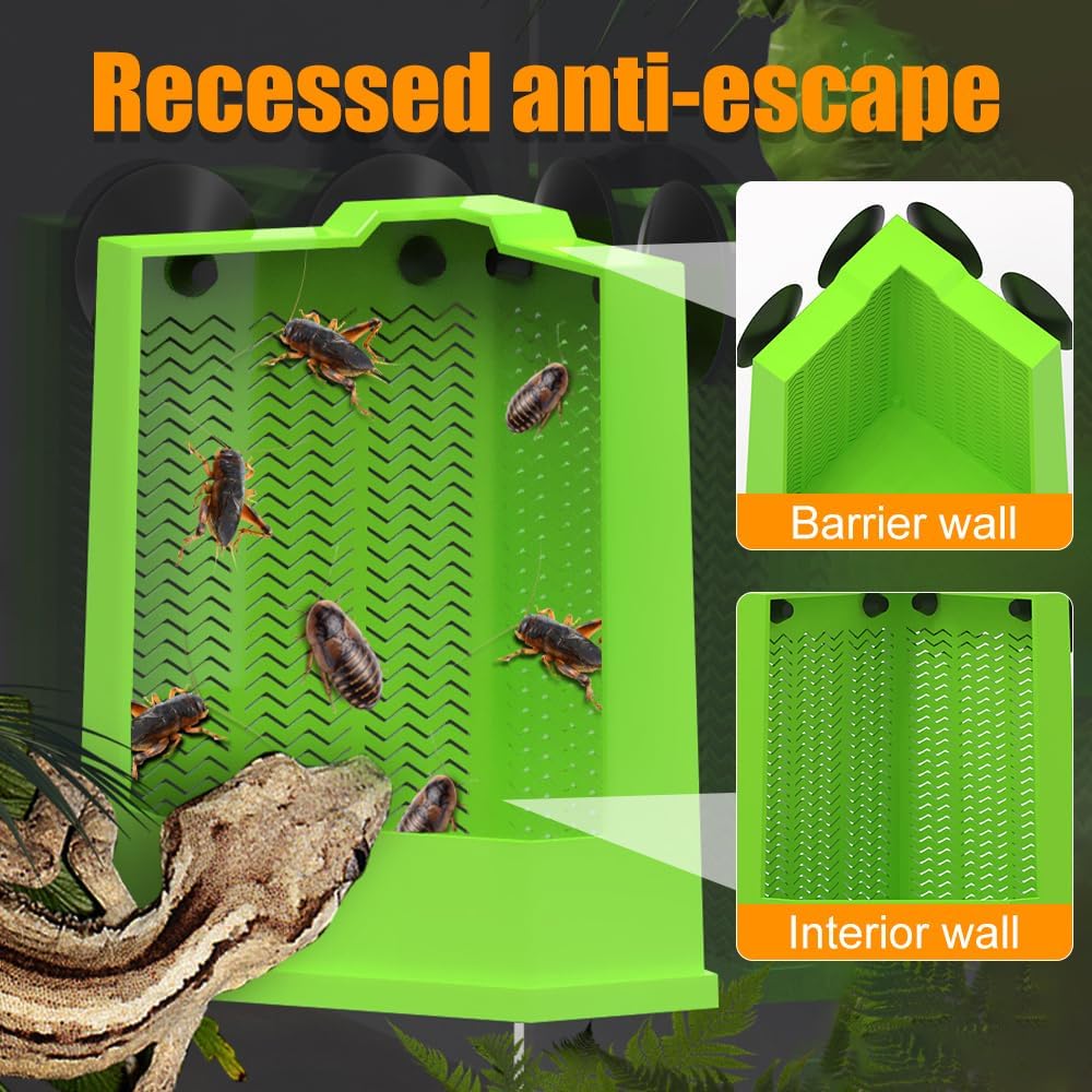 Bearded Dragon Corner Feeder Wall Mounted Terrarium Feeder