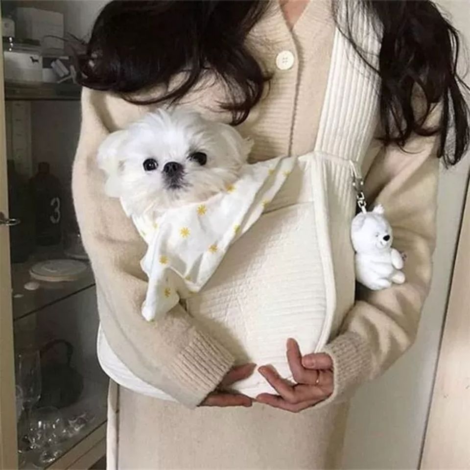 Pet Cat Kitten Carrier Outdoor Travel Handbag