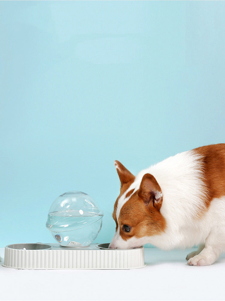 Plastic Pet Feeding Drinkers Cat
