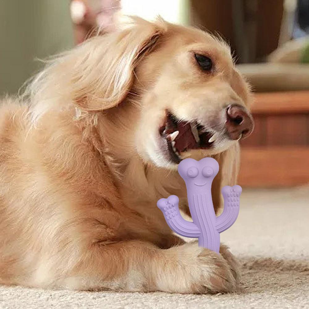 Puppy Chew Cactus Dog Toy