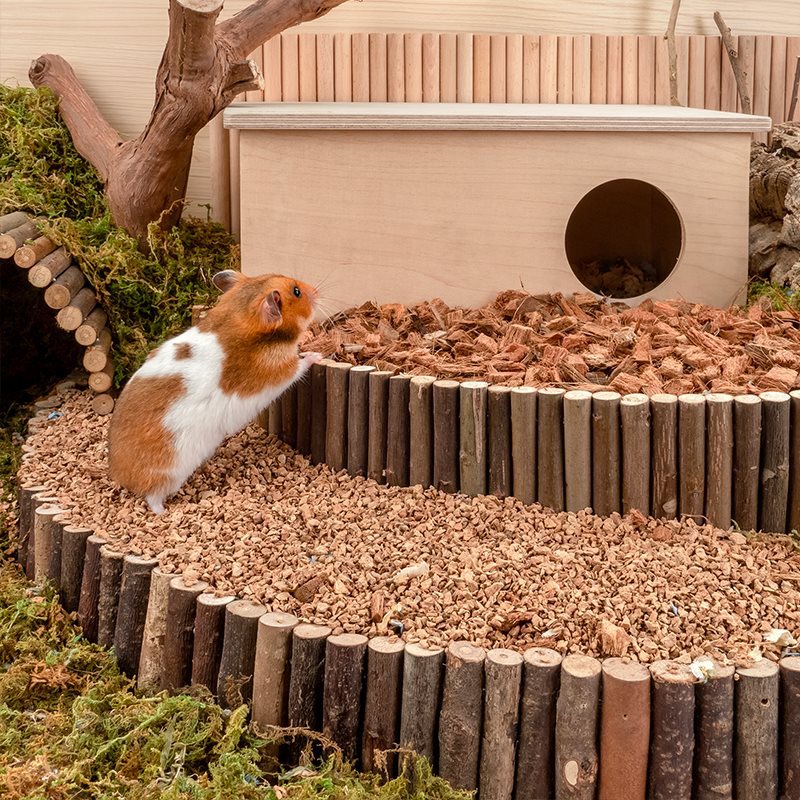 Oak Cork Dust-Free Djungarian Hamster Bedding Cage Supplies