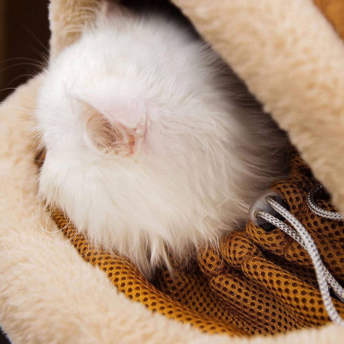 Travel Bag Pet Winter Outdoor Carriers
