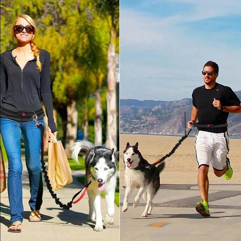 Pet Leash Harness Collar Jogging Adjustable