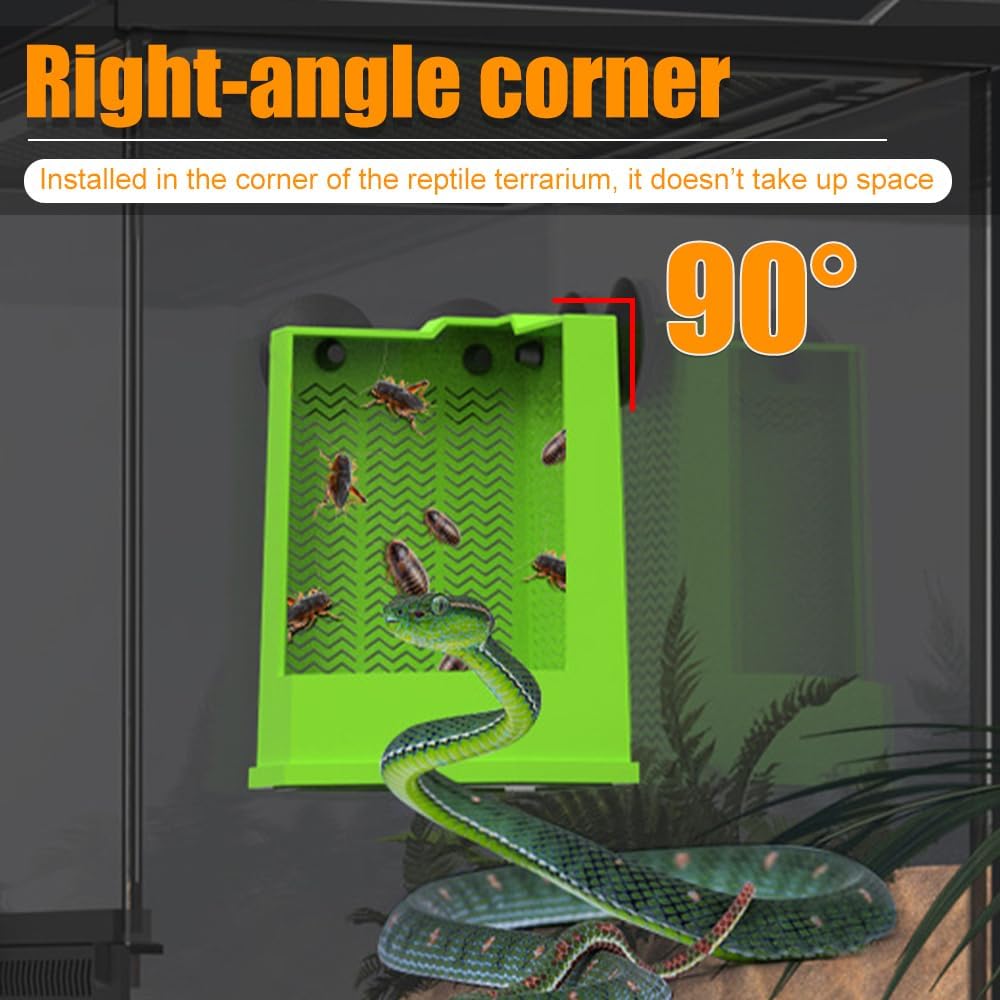 Bearded Dragon Corner Feeder Wall Mounted Terrarium Feeder