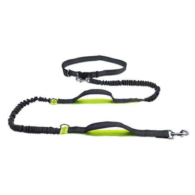 Pet Leash Harness Collar Jogging Adjustable