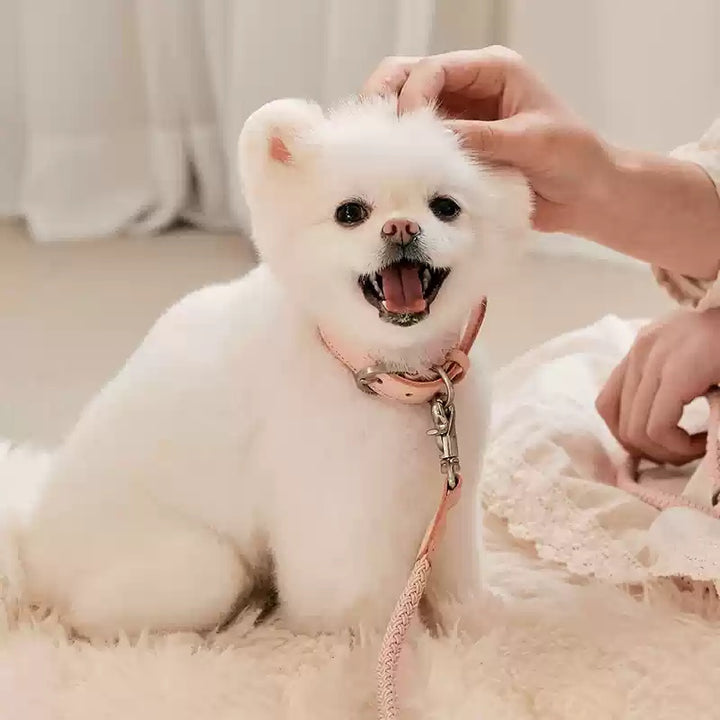 Collar Leather Hand Holding Rope Dog Leash