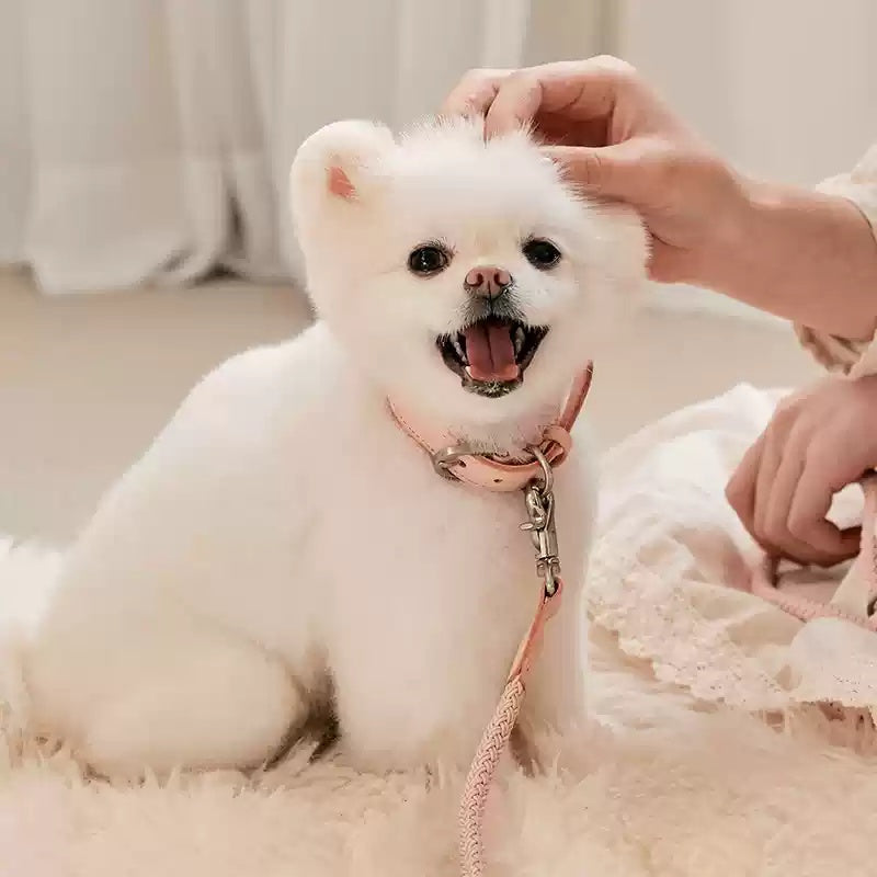 Collar Leather Hand Holding Rope Dog Leash