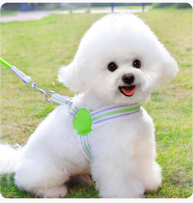 Pet Supplies Dog Leash Summer Breathable