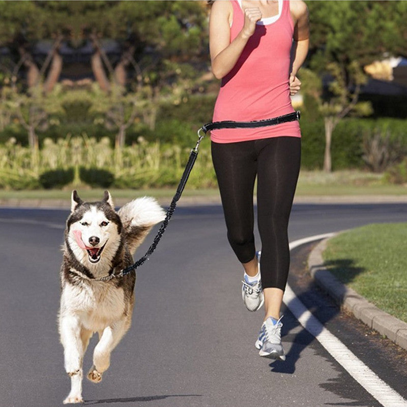 Pet Leash Harness Collar Jogging Adjustable
