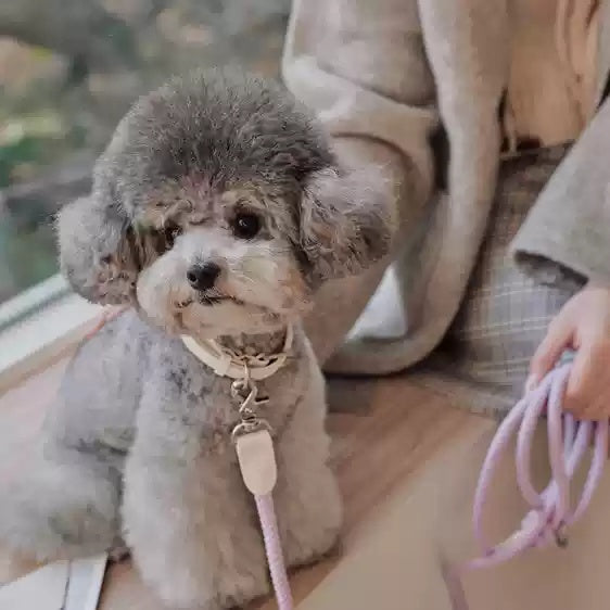 Collar Leather Hand Holding Rope Dog Leash