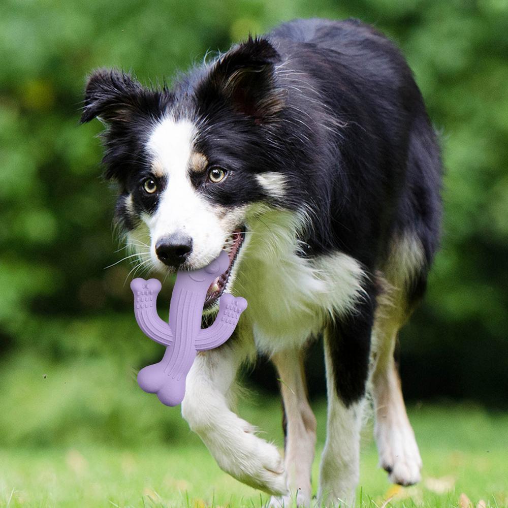 Puppy Chew Cactus Dog Toy