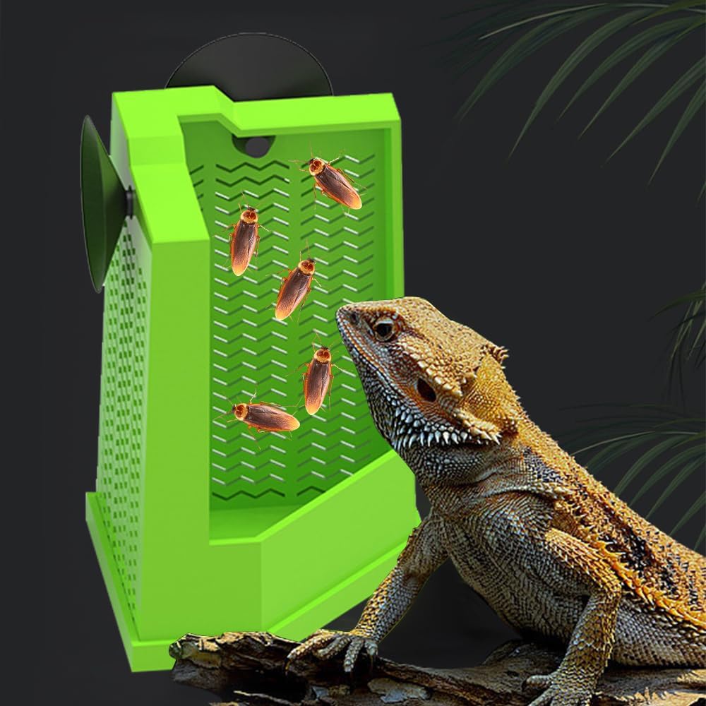 Bearded Dragon Corner Feeder Wall Mounted Terrarium Feeder
