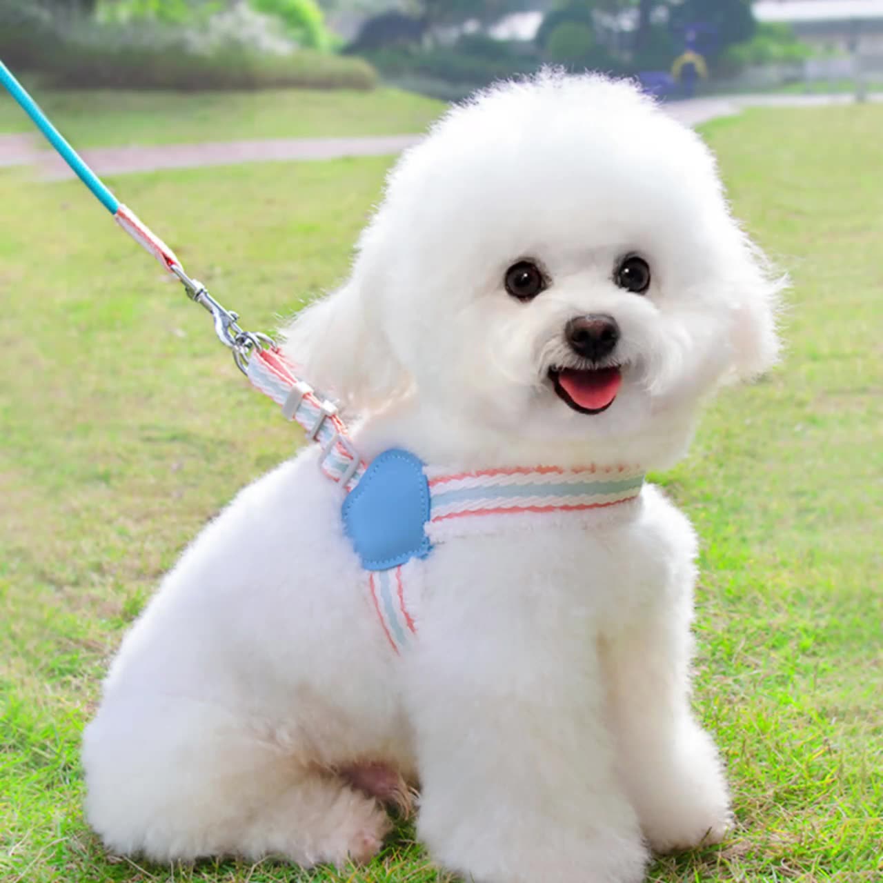 Pet Supplies Dog Leash Summer Breathable