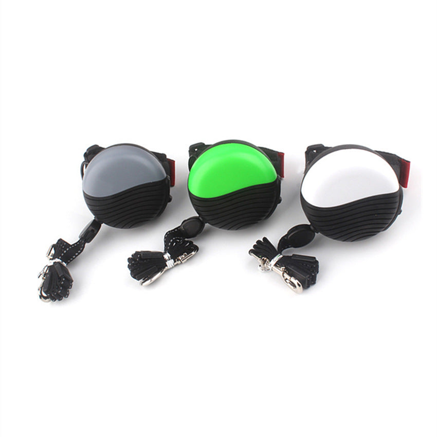 Wrist-type Pet watch leash