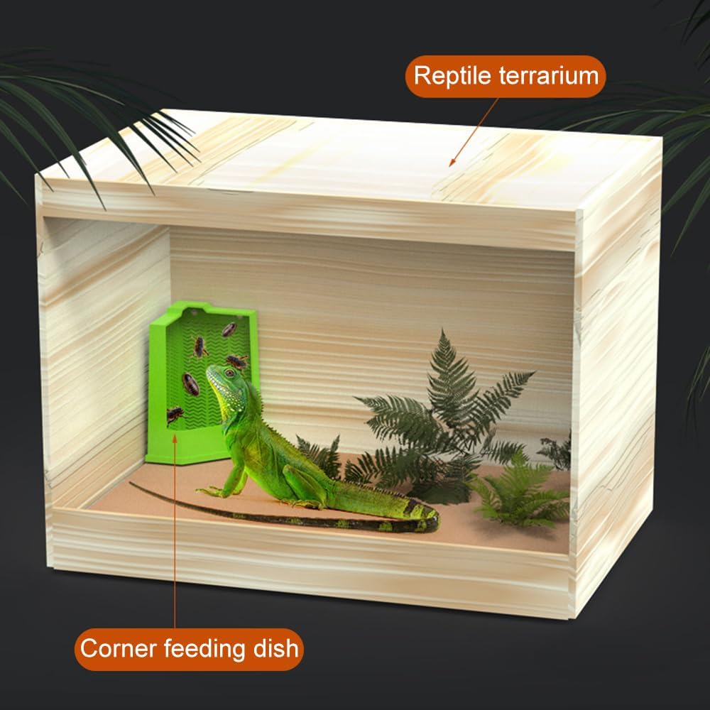 Bearded Dragon Corner Feeder Wall Mounted Terrarium Feeder