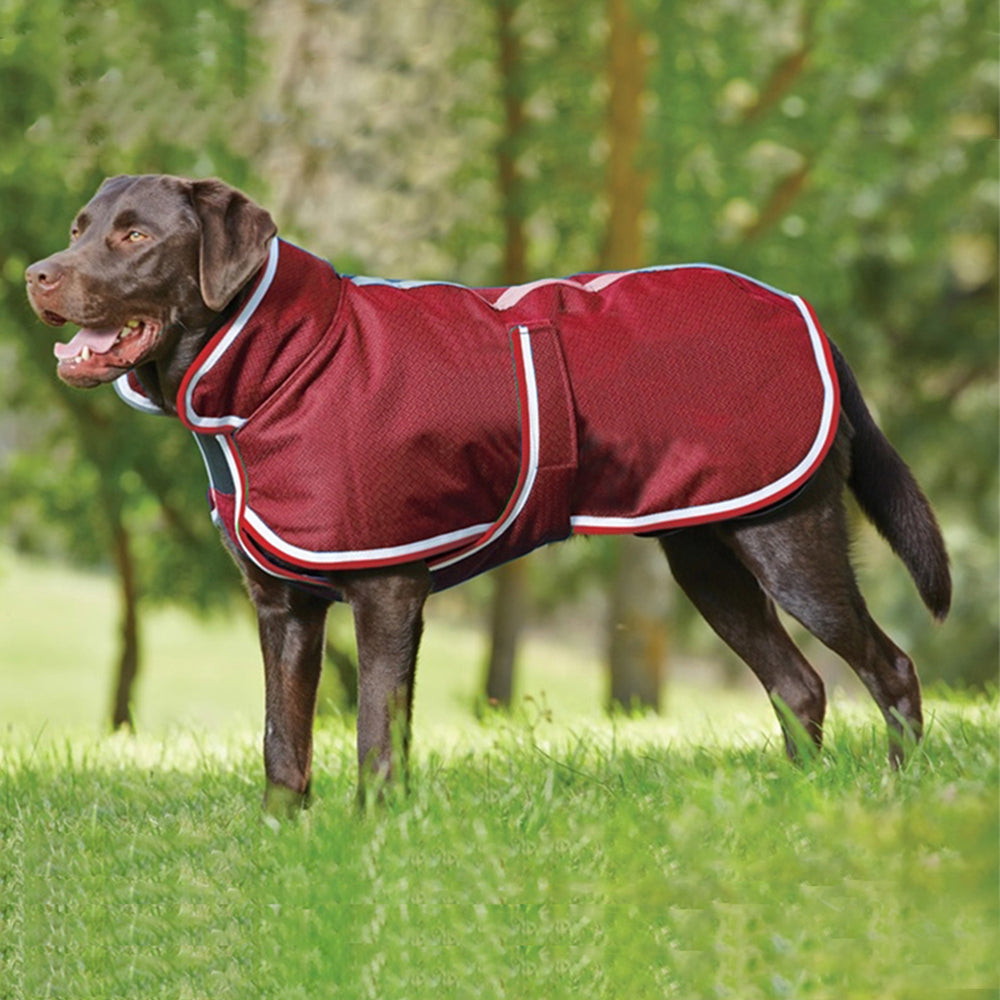 Autumn And Winter Warm Pet Waterproof Jacket