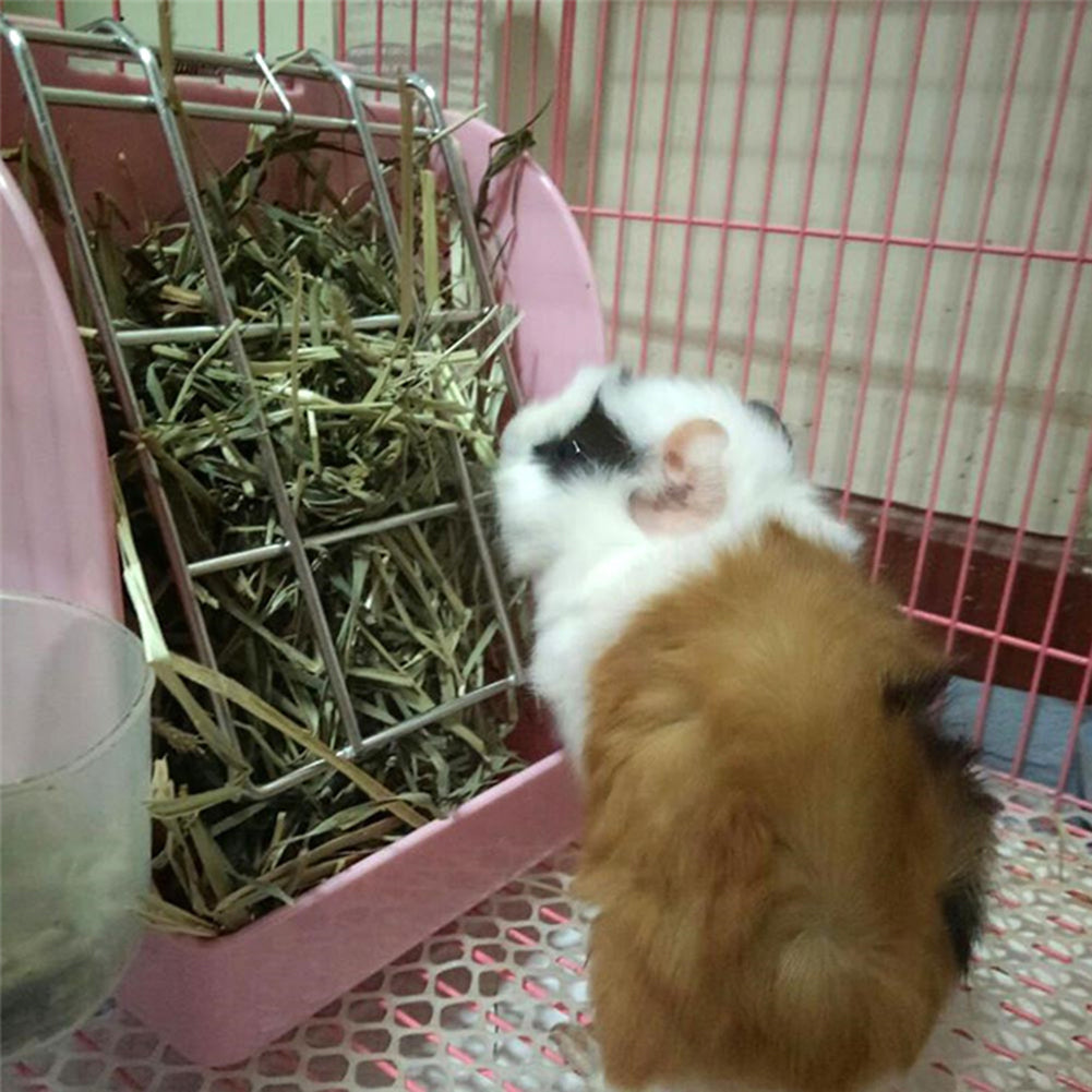 Rabbit Grass Hay Feeder