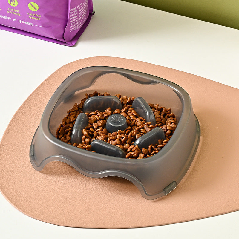 Pet Dog Slow Anti-Choking Water Feeder Bowl