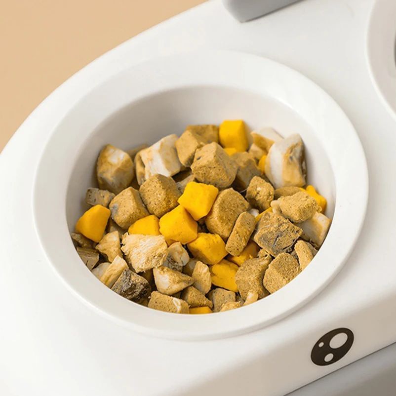 Pet Double Bowl Plastic Kitten Dog Food Drinking Tray