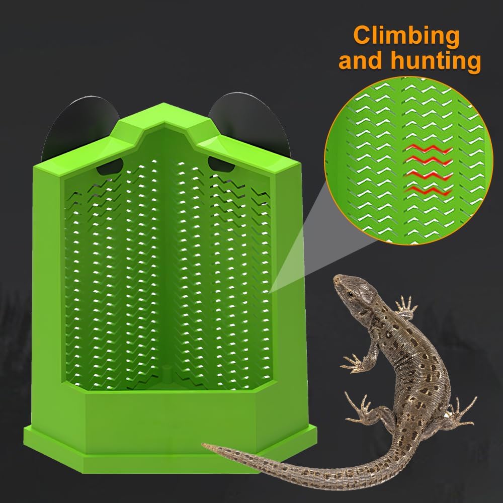 Bearded Dragon Corner Feeder Wall Mounted Terrarium Feeder