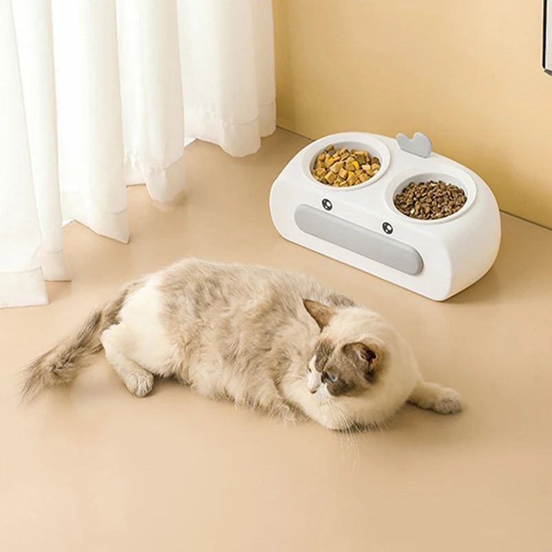 Pet Double Bowl Plastic Kitten Dog Food Drinking Tray