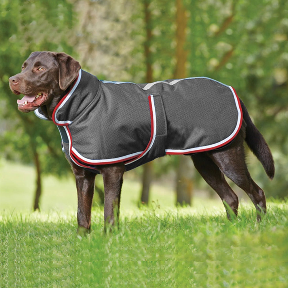 Autumn And Winter Warm Pet Waterproof Jacket