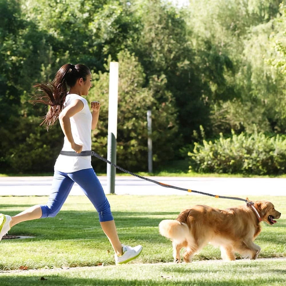 Pet Leash Harness Collar Jogging Adjustable