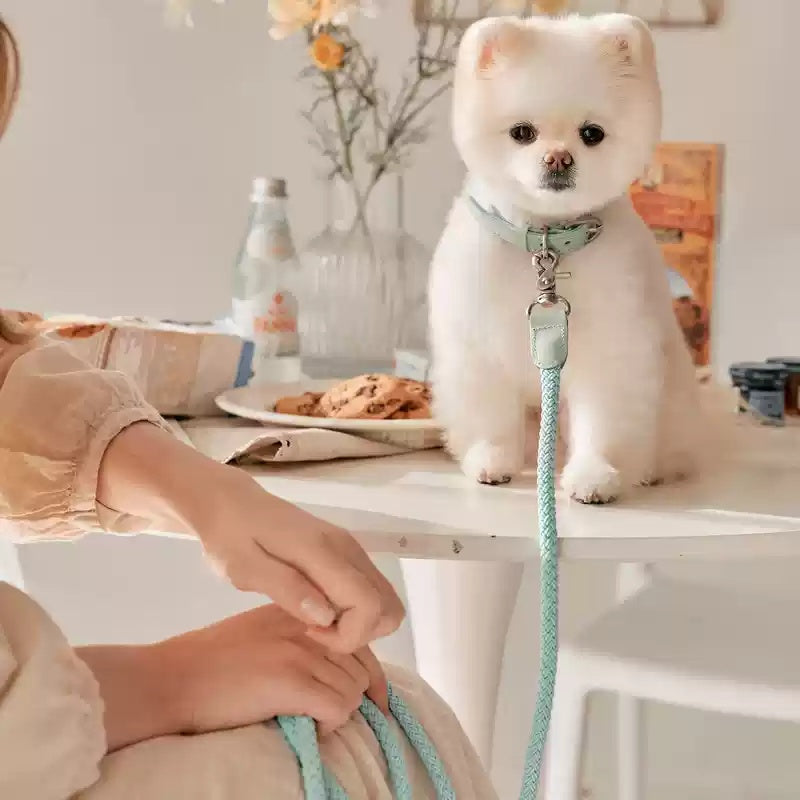 Collar Leather Hand Holding Rope Dog Leash