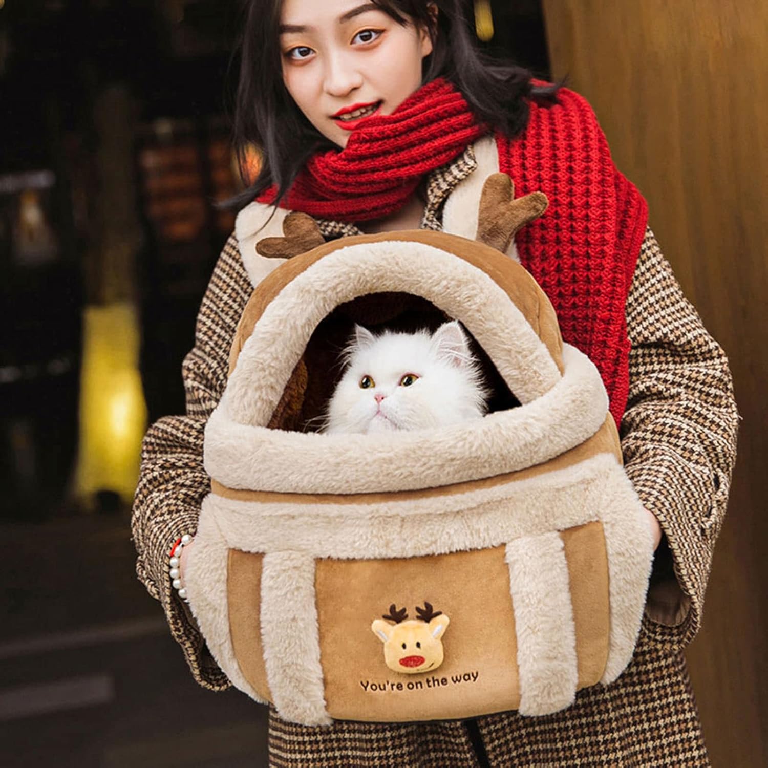 Travel Bag Pet Winter Outdoor Carriers
