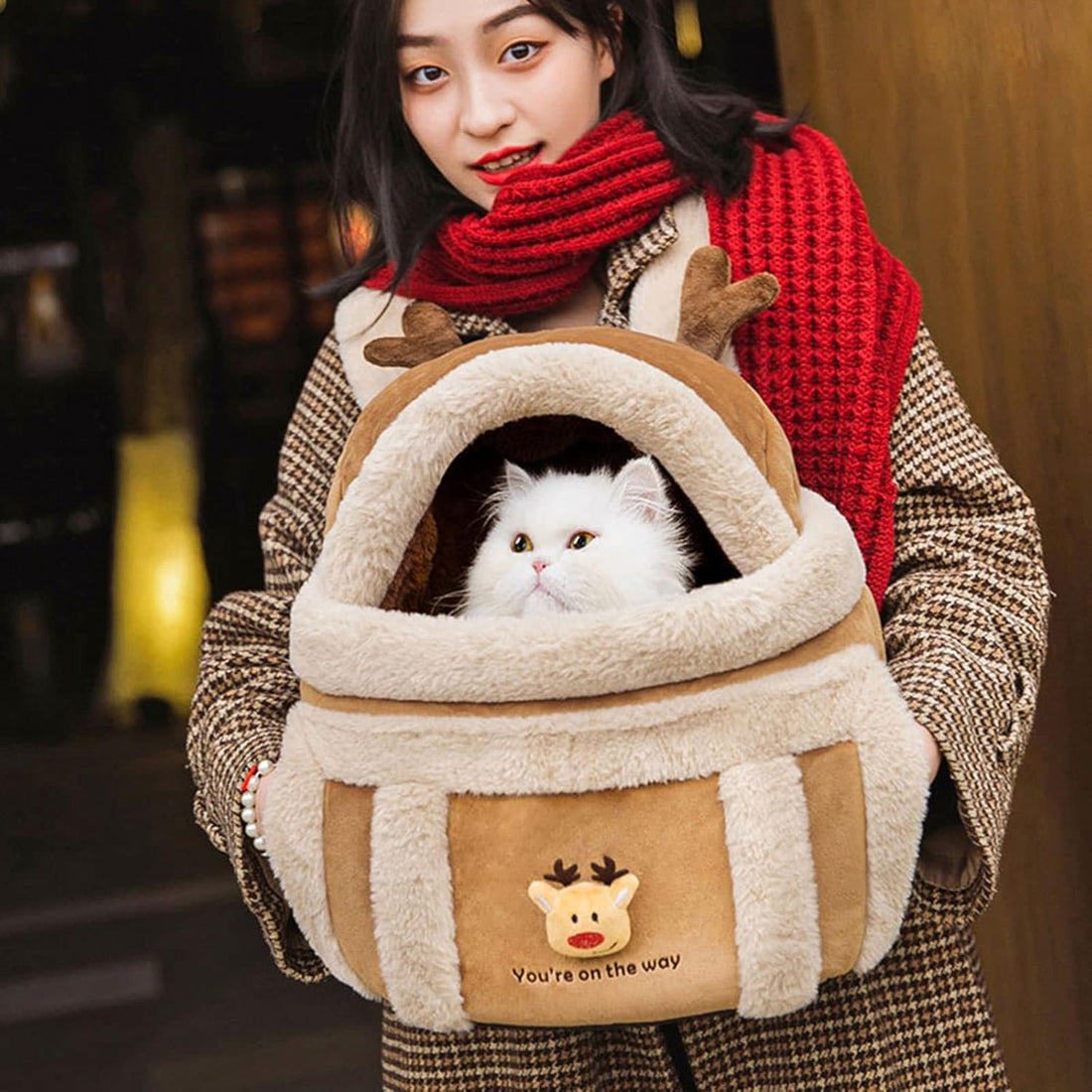 Travel Bag Pet Winter Outdoor Carriers