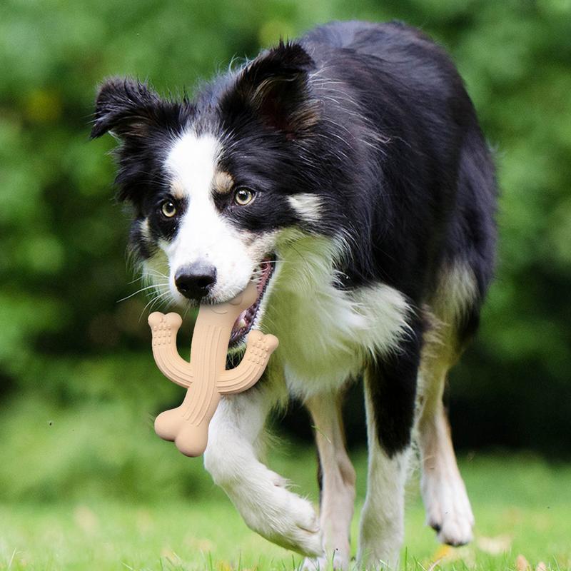 Puppy Chew Cactus Dog Toy