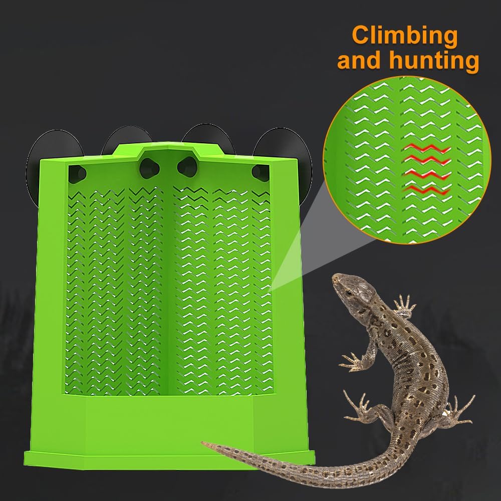 Bearded Dragon Corner Feeder Wall Mounted Terrarium Feeder
