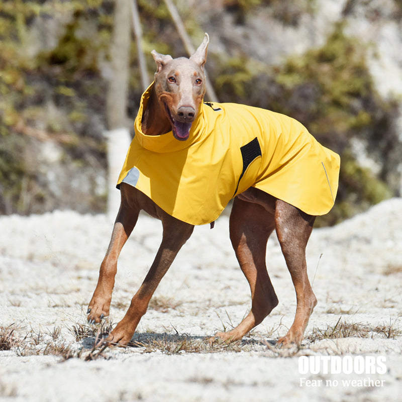 Pet Shell Jacket Dog Waterproof & Windproof Raincoat