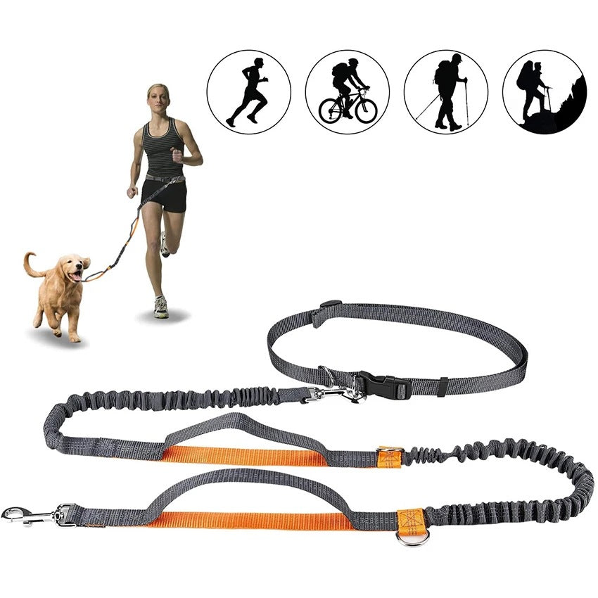 Pet Leash Harness Collar Jogging Adjustable