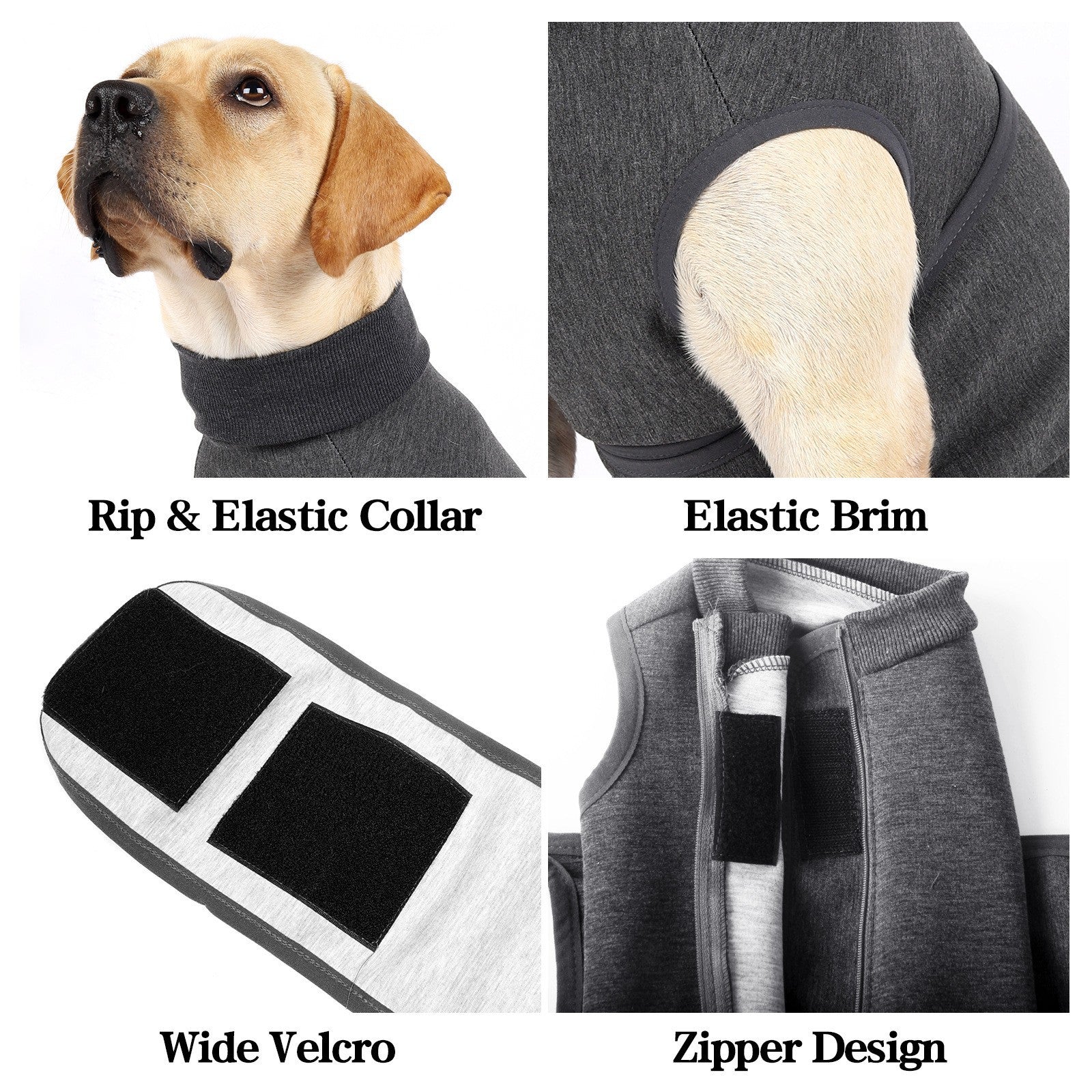Pet Polyester Emotional Comfort Cotton Double Jacket