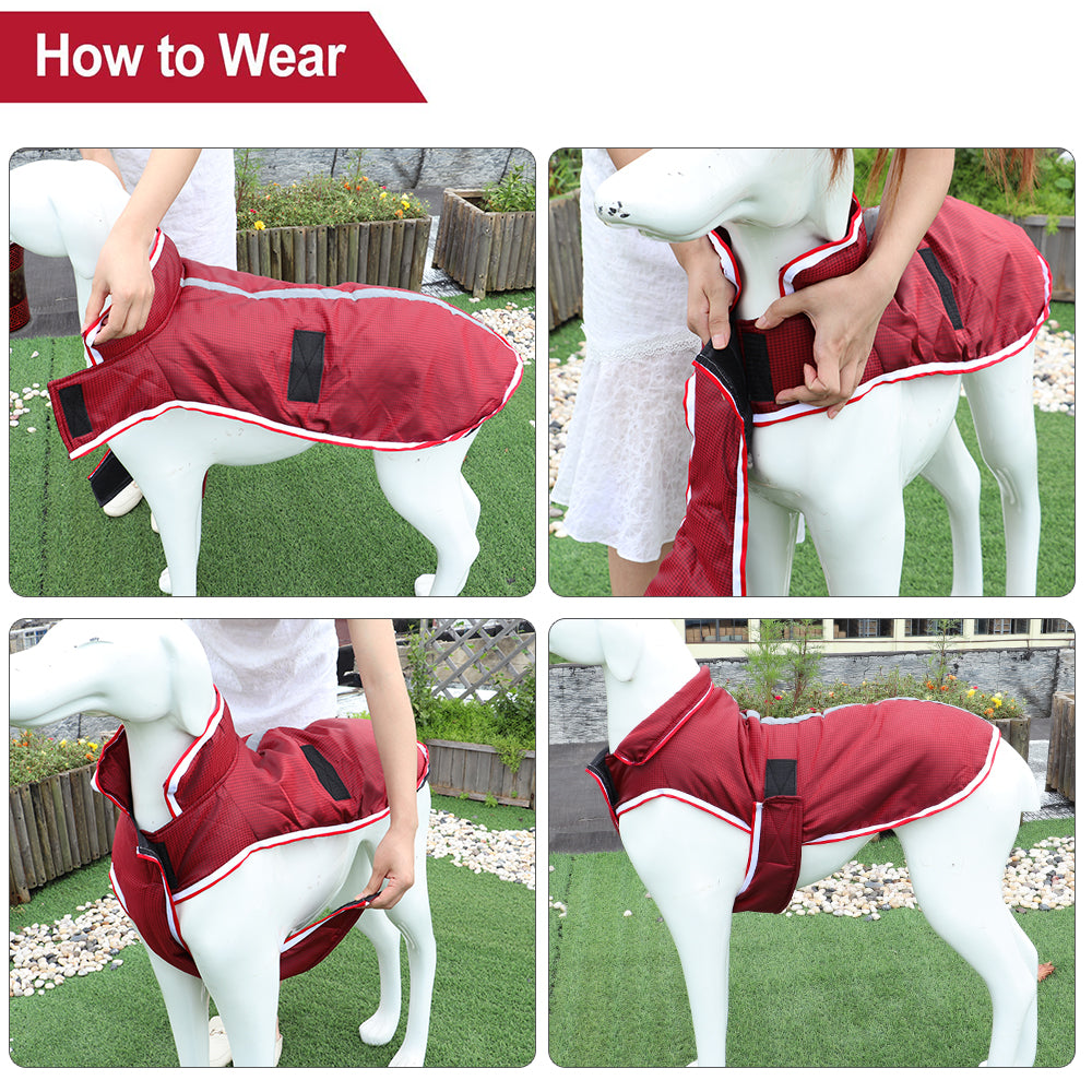 Autumn And Winter Warm Pet Waterproof Jacket