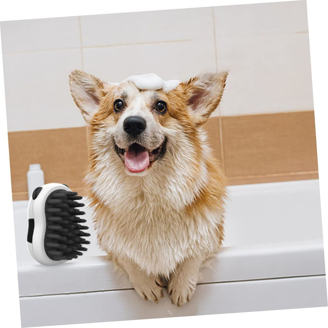 Bath Brush Pet Hair Grooming Comb Beauty Tools