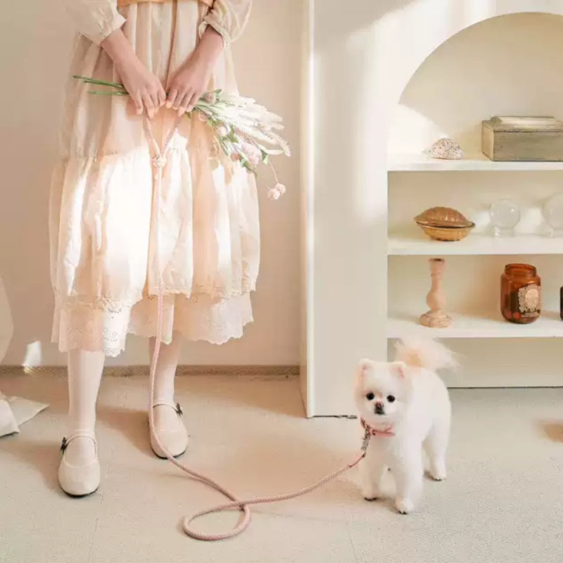 Collar Leather Hand Holding Rope Dog Leash