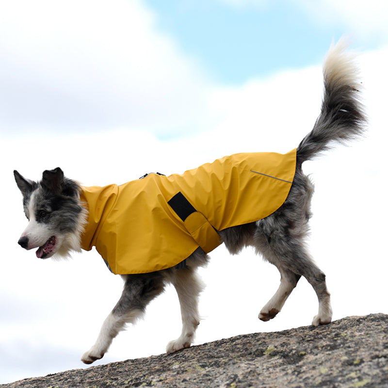 Pet Shell Jacket Dog Waterproof & Windproof Raincoat