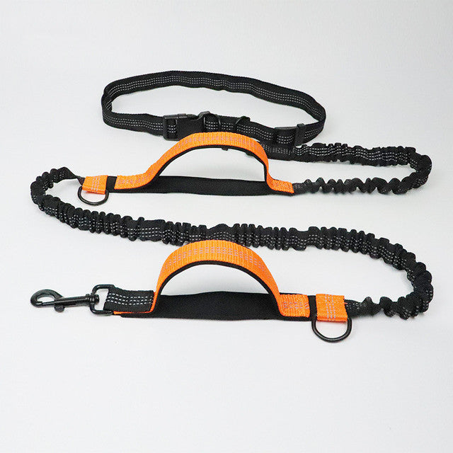 Pet Leash Harness Collar Jogging Adjustable
